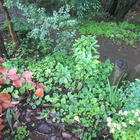 Eco Cabana بورتو فاراس المظهر الخارجي الصورة