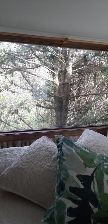 Eco Cabana بورتو فاراس المظهر الخارجي الصورة