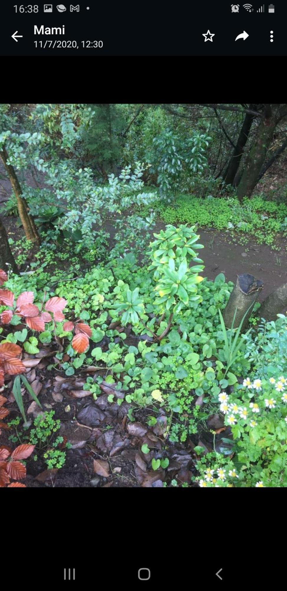 Eco Cabana بورتو فاراس المظهر الخارجي الصورة