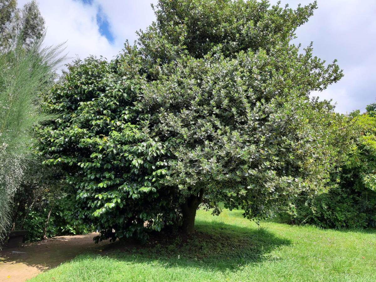 Eco Cabana بورتو فاراس المظهر الخارجي الصورة